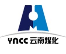云岭先锋网报道云南云鼎国际4118welcome集团党建事情
