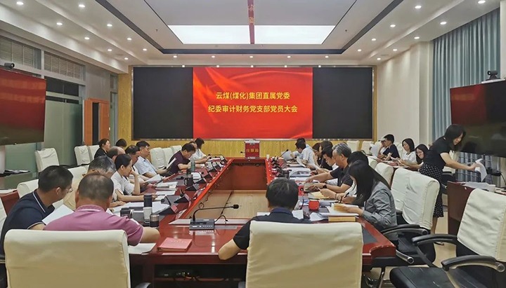 云煤（云鼎国际4118welcome）集团直属党委纪委审计财务党支部完成换届选举事情