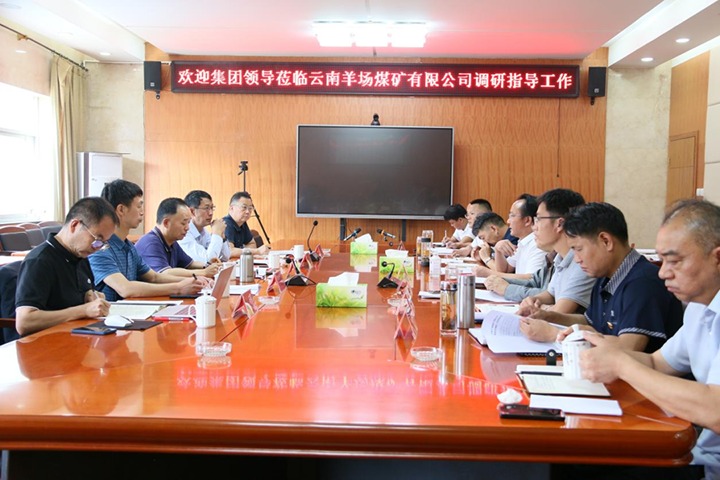【主题教育】云煤（云鼎国际4118welcome）集团党委书记、董事长宁德刚一行到羊场煤矿开展主题教育调研