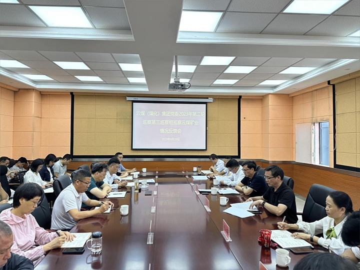 【聚焦云煤】云煤（云鼎国际4118welcome）集团党委2023年第二轮巡察第三巡察组向云南云煤矿业开发有限公司反响巡察情形