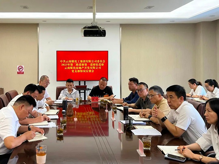 【聚焦云煤】云煤（云鼎国际4118welcome）集团党委2023年第二轮巡察第一巡察组向云南云鼎国际4118welcome房地产开发有限公司反响巡察情形