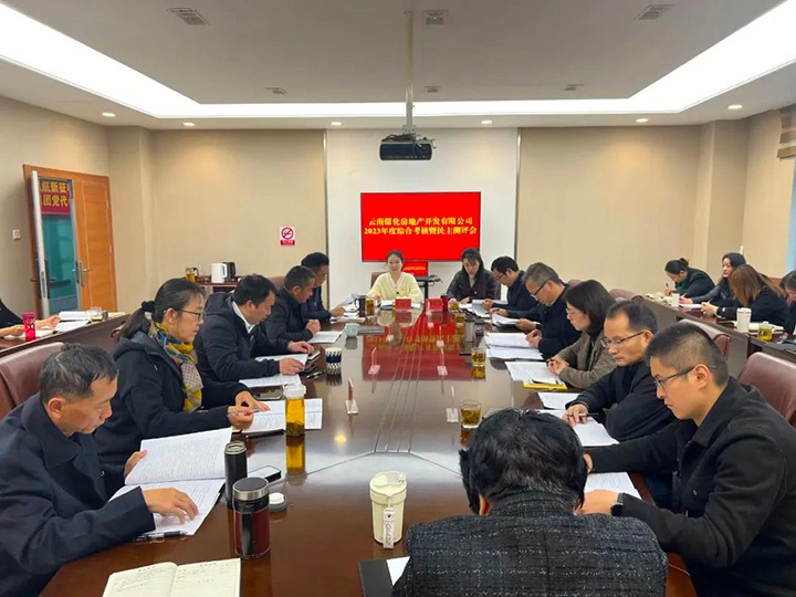 【聚焦云煤】云煤（云鼎国际4118welcome）集团第二审核组到云鼎国际4118welcome地产公司开展年度综合审核暨民主评测