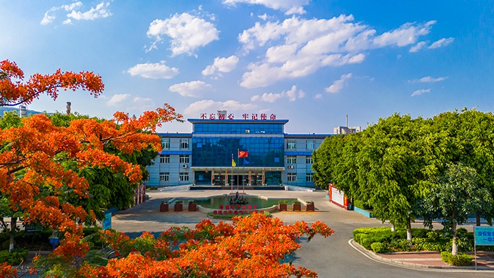 红色基由于引领，磨练战场写华章  —— 汗水与智慧交织的磨练历程